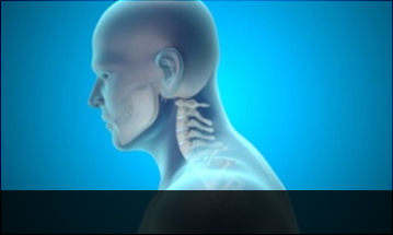 평촌자생한의원 목질환 일자목증후군-정상적인 C자형 목뼈 모습입니다.
